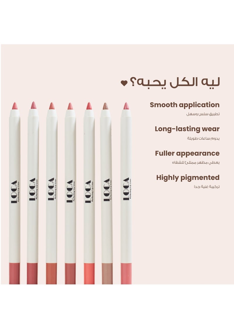 loca Liner Old Rich -Contour Lip Brown06  - Image 4