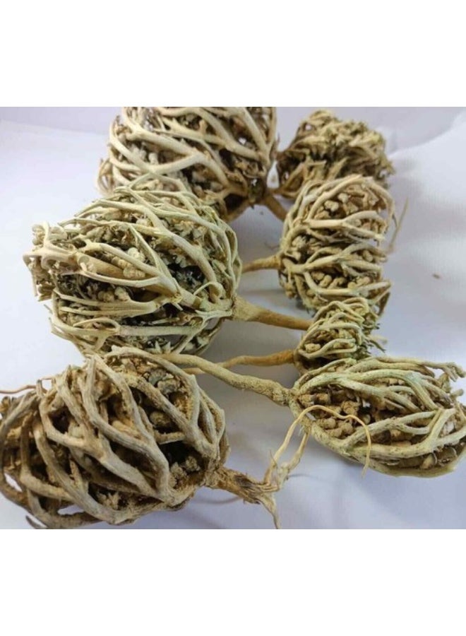 Pureherbs مريم بوتي – منتج عشبي تقليدي للصحة 5 قطع صغيرة - Image 2