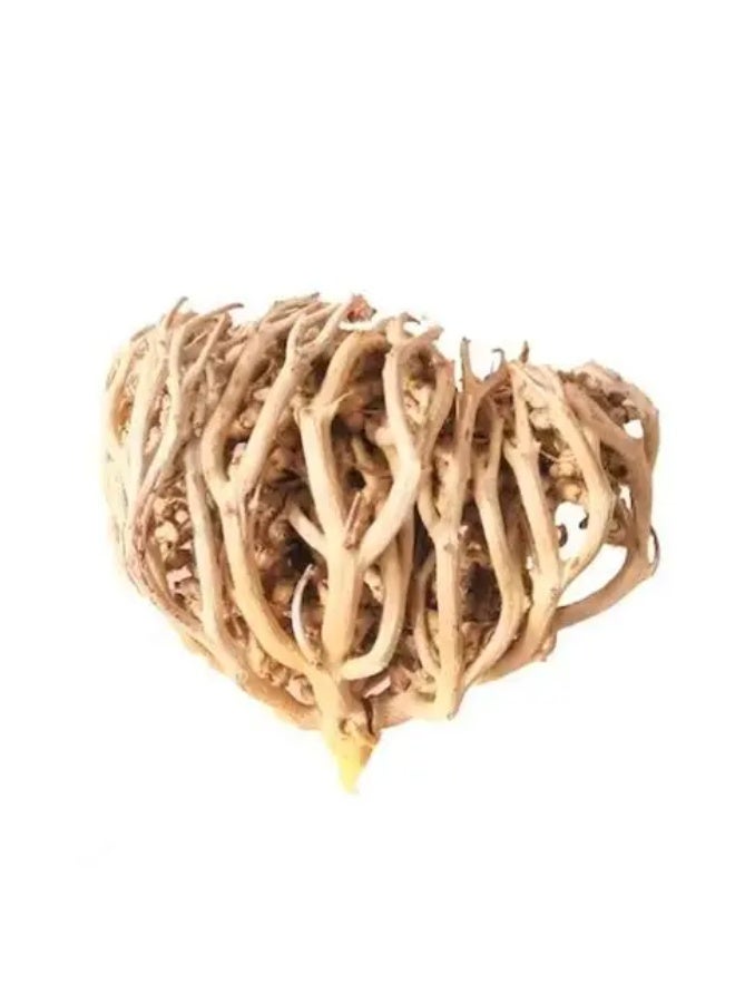 Pureherbs مريم بوتي – منتج عشبي تقليدي للصحة 5 قطع صغيرة - Image 4