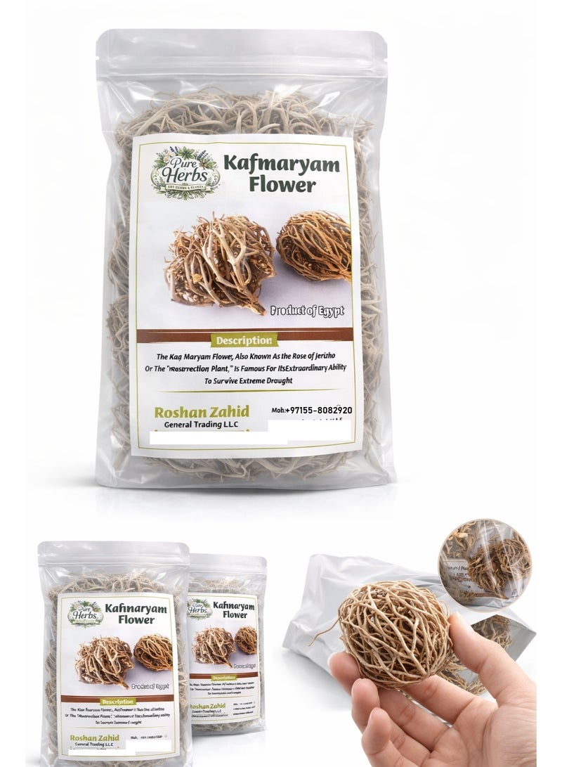 Pureherbs مريم بوتي – منتج عشبي تقليدي للصحة 5 قطع صغيرة - Image 1
