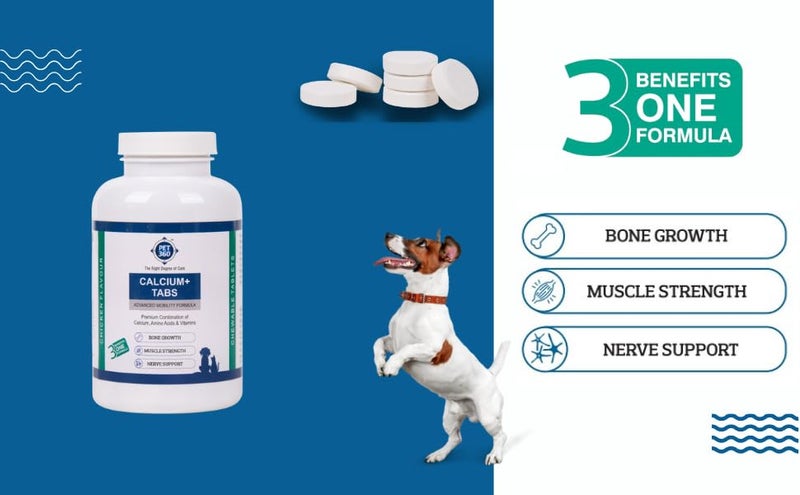 PET360 Calcium+ TABS Advanced Mobility Formula for Dogs & Cats | Bone Growth, Muscle Strength & Nerve Support with Calcium, Amino Acids & Vitamins | Chicken Flavor | Chewing Tablets - 120 Tablets - Image 4
