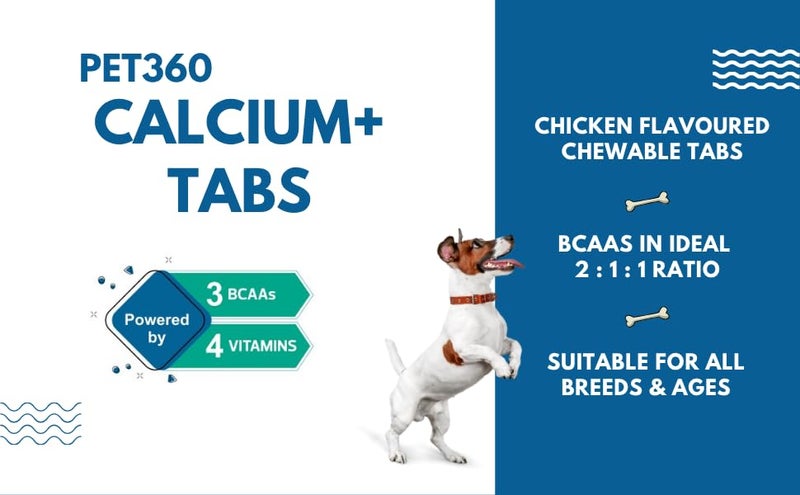 PET360 Calcium+ TABS Advanced Mobility Formula for Dogs & Cats | Bone Growth, Muscle Strength & Nerve Support with Calcium, Amino Acids & Vitamins | Chicken Flavor | Chewing Tablets - 120 Tablets - Image 3