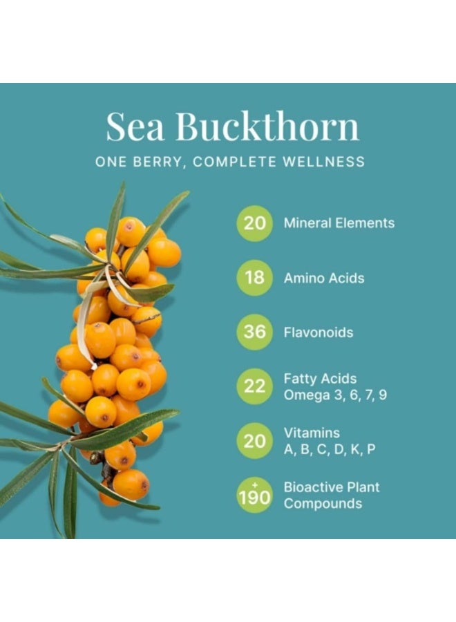 CONSA Organic Sea Buckthorn Berry Powder (200 Gram) - 100% Pure Sea Buckthorn Powder - Source of Various Vitamins & Minerals - Image 2