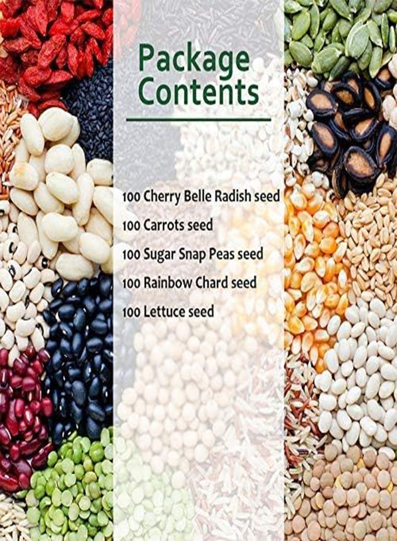 GGOOT 500PCS Premium Mixed Vegetable Seeds Collection Non-GMO Heirloom Seeds Cherry Belle Radish, Carrots,Sugar Snap Peas,Rainbow Chard, Lettuce Seeds for Garden Planting - Image 3