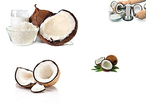 Dweezhet Stainless Steel Coconut ScraperCoconut Scrapper for KitchenVacuum Base Grater Chopper Silver - Image 5