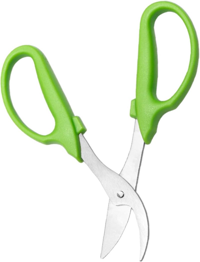 Pruning Shears Garden Clippers for Tree Trimming with Stainless Steel Blades, Heavy Duty Plant Scissors for Outdoor Gardening and Fruit Picking, Long Handle Hand Tool for Precise - Image 1