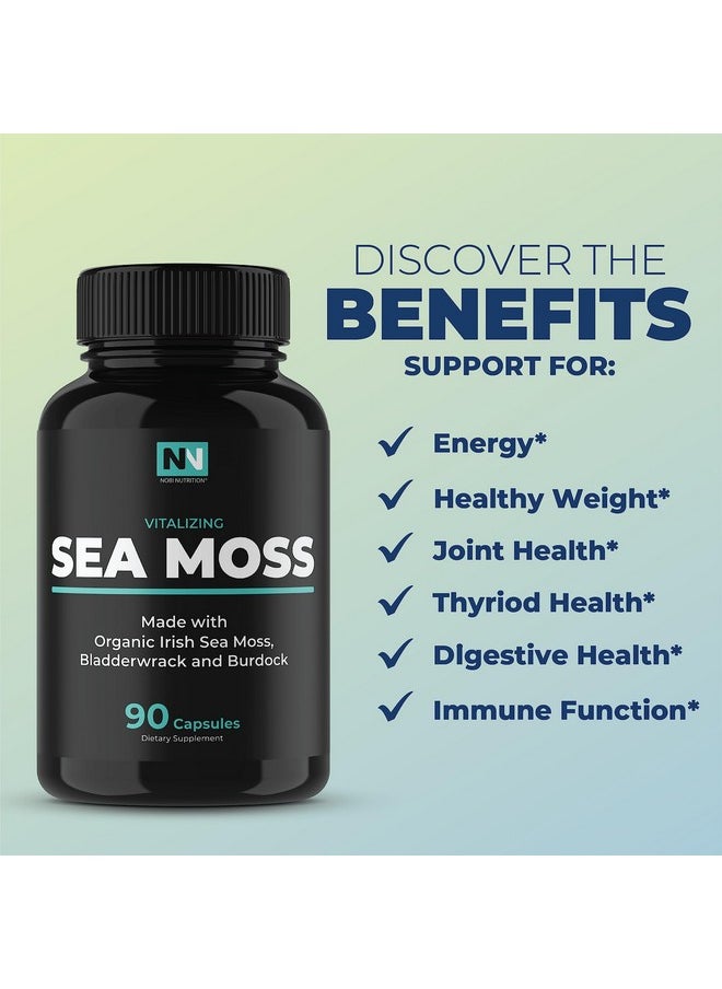 Nobi Nutrition كبسولات الطحالب البحرية الأيرلندية؛ مع 300 ملغ من جذر الأرقطيون العضوي و500 ملغ من مسحوق عشبة البحر الأيرلندية؛ إمداد لمدة 45 يومًا؛ مركب 1300 ملغ؛ يوفر اليود لدعم الغدة الدرقية والمناعة؛ 90 حبة نباتية  - Image 4