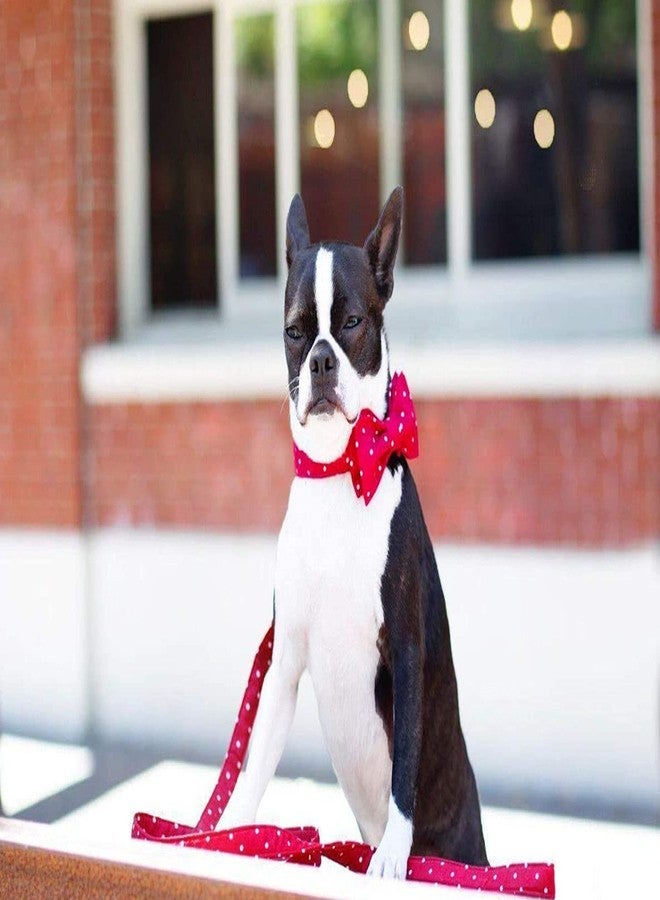 RR Design Dog Bow Tie/Dog Bow-tie/Dog Gift (Adjustable) (Red Small Polka dot, Medium) - Image 5