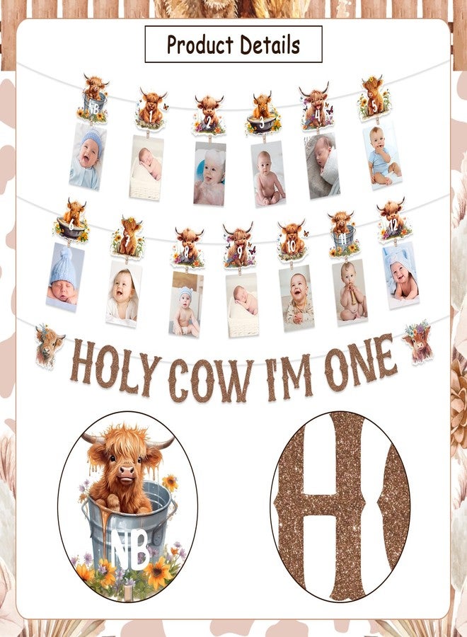 Funmemoir Highland Cow First Birthday Decorations - Holy Cow Im One Banner and Highland Cattle 1st Bday Monthly Photo Banner, Farm Cattle Birthday Party, Farm Animal 1st Bday Party Supplies - Image 4