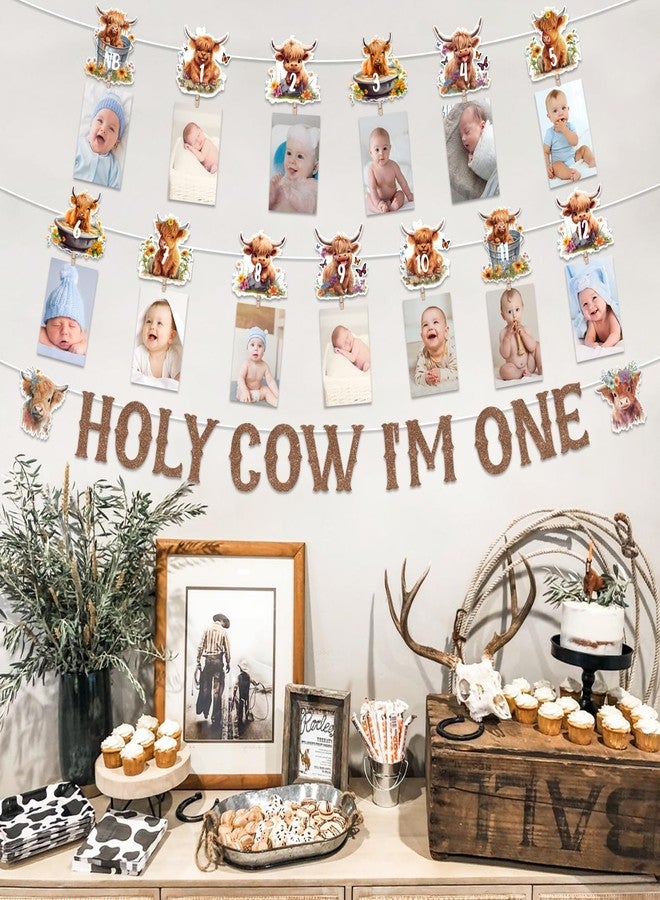 Funmemoir Highland Cow First Birthday Decorations - Holy Cow Im One Banner and Highland Cattle 1st Bday Monthly Photo Banner, Farm Cattle Birthday Party, Farm Animal 1st Bday Party Supplies - Image 3