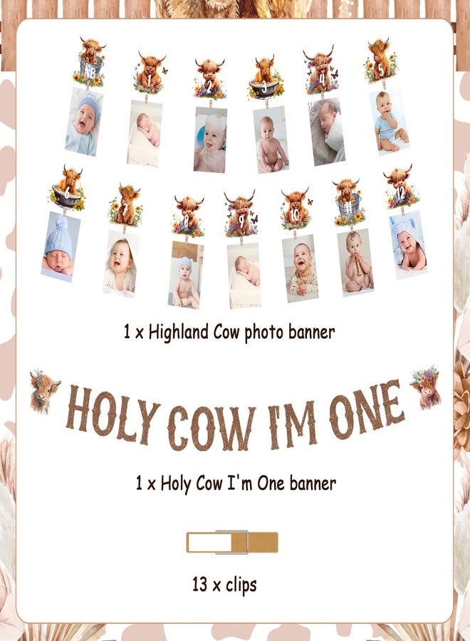 Funmemoir Highland Cow First Birthday Decorations - Holy Cow Im One Banner and Highland Cattle 1st Bday Monthly Photo Banner, Farm Cattle Birthday Party, Farm Animal 1st Bday Party Supplies - Image 2