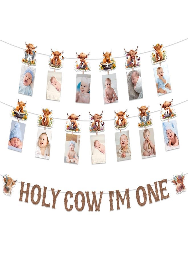 Funmemoir Highland Cow First Birthday Decorations - Holy Cow Im One Banner and Highland Cattle 1st Bday Monthly Photo Banner, Farm Cattle Birthday Party, Farm Animal 1st Bday Party Supplies - Image 1