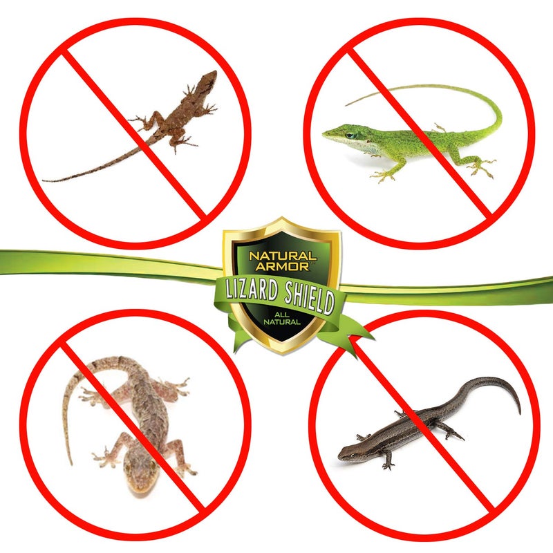 Natural Armor رذاذ طارد السحالي والجكو الطبيعي - تركيبة قوية من النعناع تطرد جميع أنواع السحالي والجكو وتعمل بشكل أفضل من الحيل فوق الصوتية - 128 أونصة سائلة - جالون جاهز للاستخدام - Image 2