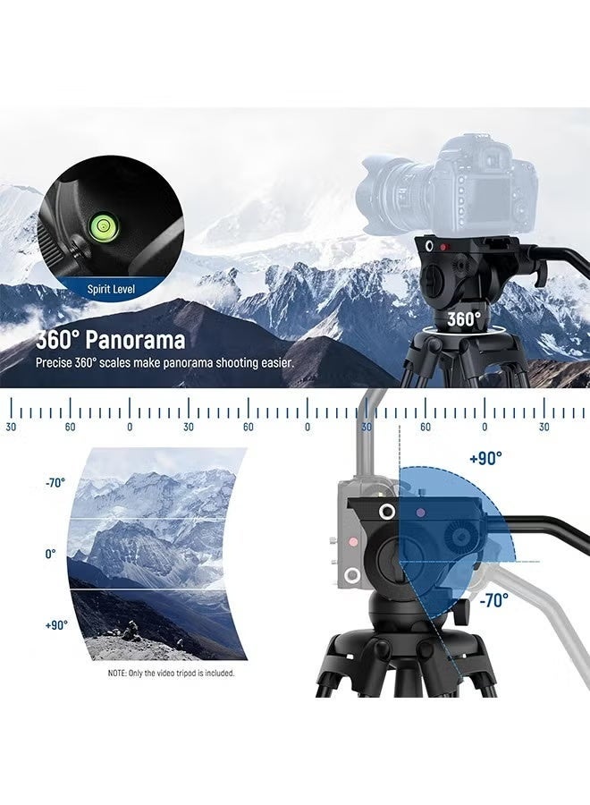 NEEWER Basic 74" Video Tripod with Fluid Head , Metal Camera Tripod with Smooth Friction Damping, Mid Level Spreader, Quick Release Plate Compatible with Manfrotto 501, Max Load 17.6lb, TP37 - Image 5