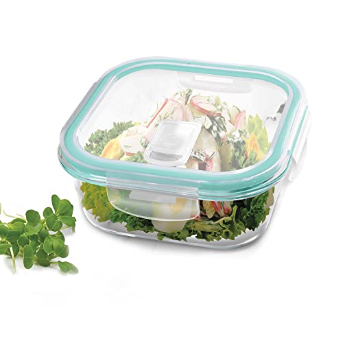 Treo by Milton Clip Fresh Borosilicate Glass Square Container with Air-Vent Lid for Kitchen/Tiffin, 320ml | Food Safe, Airtight & Leakproof | Microwave & Freezer Safe, Ideal For Lunch Box, Kitchen Use - Image 1
