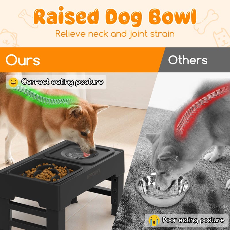 URPOWER 2-in-1 Elevated Slow Feeder Dog Bowls with No-Spill Water Bowl, 4 Height-Adjustable Raised Dog Bowls, Non-Slip Food and Water Bowls with Stand for Small, Medium, Large Dogs, Cats and Pets - Image 3
