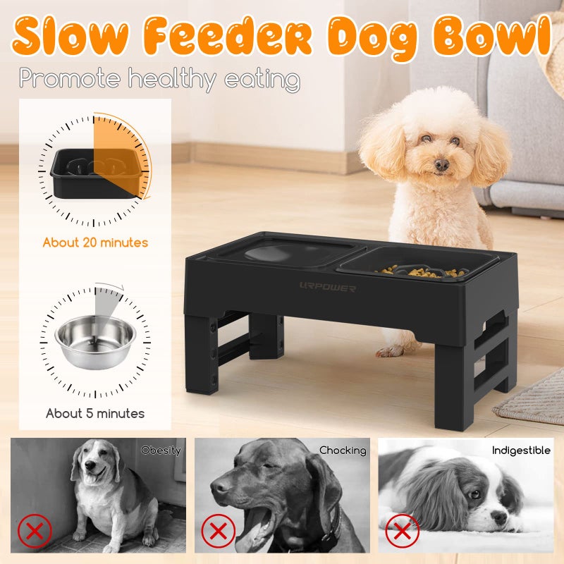 URPOWER 2-in-1 Elevated Slow Feeder Dog Bowls with No-Spill Water Bowl, 4 Height-Adjustable Raised Dog Bowls, Non-Slip Food and Water Bowls with Stand for Small, Medium, Large Dogs, Cats and Pets - Image 4