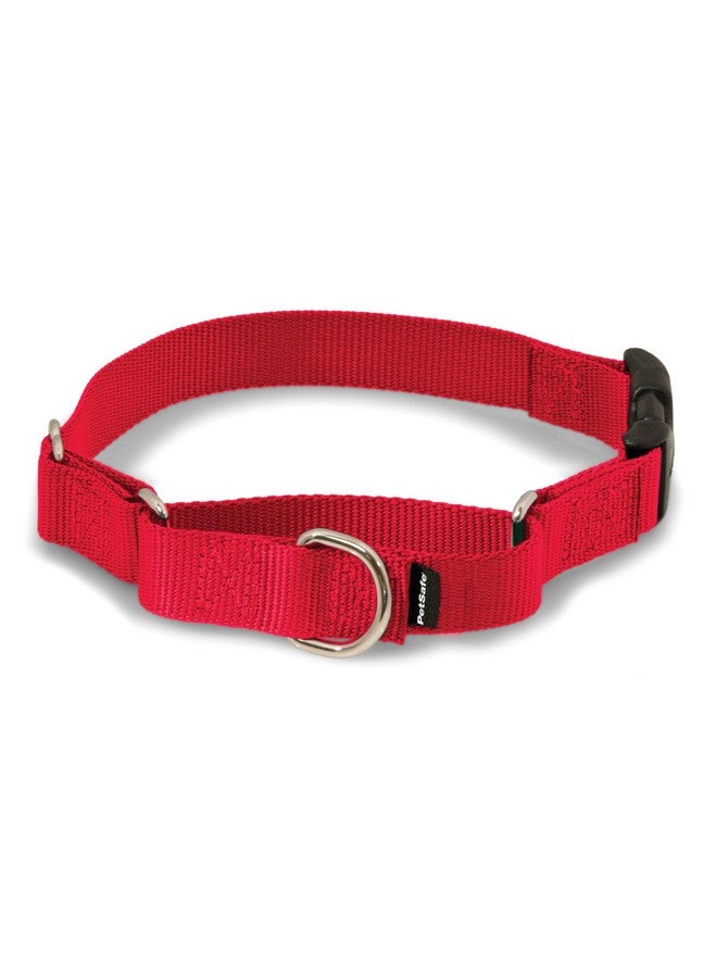 بيت سيف طوق مارتينجال للكلاب من بيت سيف مع مشبك سريع الإغلاق - صغير، 3/4 بوصة، أحمر - Image 1