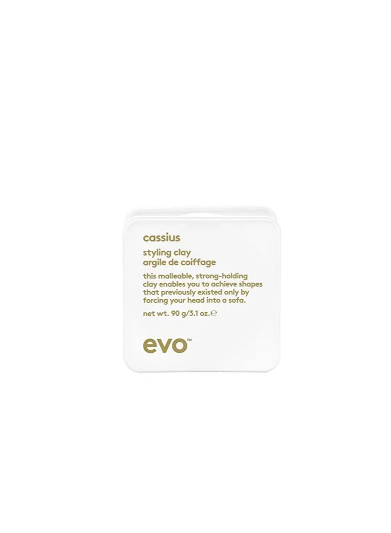 Evo  Evo-cassius styling clay 90g  | Best Price UAE