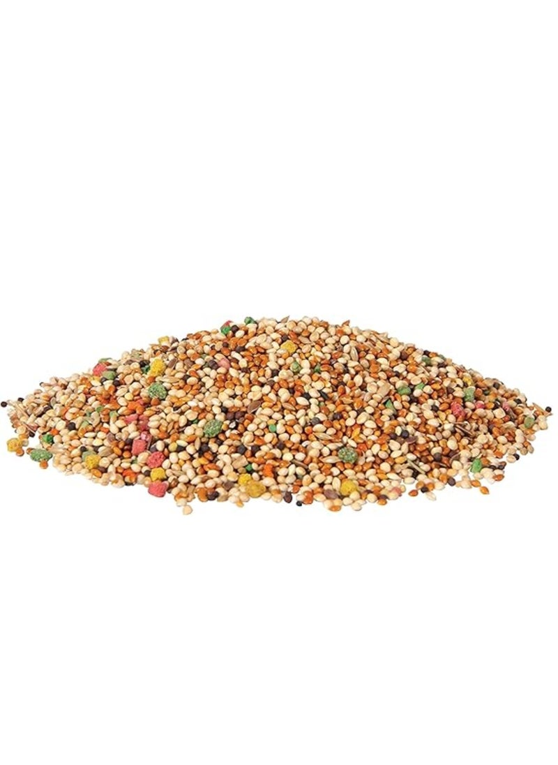 Wild Harvest Daily Blend For Small Birds, 1.3 Kgs - pzsku/Z5A7233BBD8EAFC0EFB0BZ/45/_/1732382544/cd3ba636-c42b-4bac-aab6-390349e9829e