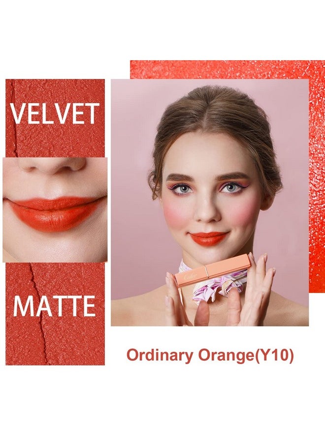 Oulac Orange Matte Lipstick For Women, Lipstick & Blush Duo, Creamy Soft Satin Finish Lipsticks,Moisturising Formula,Rich Color Lightweight Lip Balm, Rose Oil,Vegan & Crueltyfree; 3.6G (Y10)  - Image 3