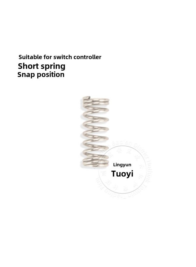 Nintendo Switch JOY-CON Left And Right Handle Buckle Lock Spring ZRZL Spring Repair Accessories-Product Color:A Short - Image 1