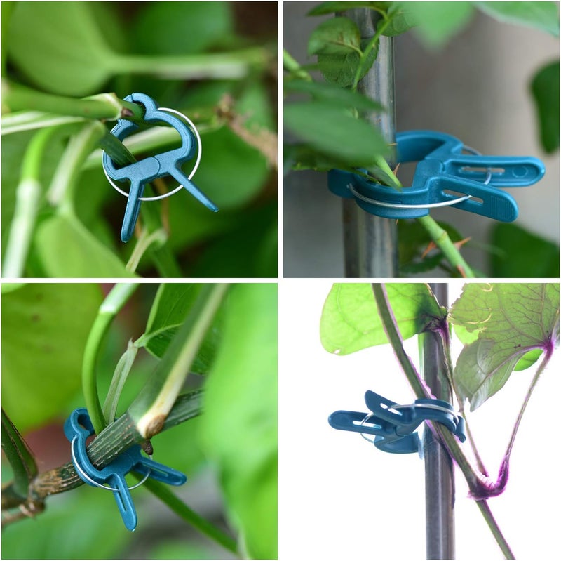 PERSZEN 60PCS Plant Clips 2 Sizes Adjusting Reusable Garden Plant Supports Clips for Supporting Stems of Flower Vine Vegetables Tomatoes Climbing - Image 4