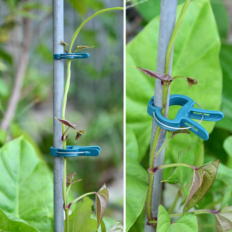PERSZEN 60PCS Plant Clips 2 Sizes Adjusting Reusable Garden Plant Supports Clips for Supporting Stems of Flower Vine Vegetables Tomatoes Climbing - Image 5