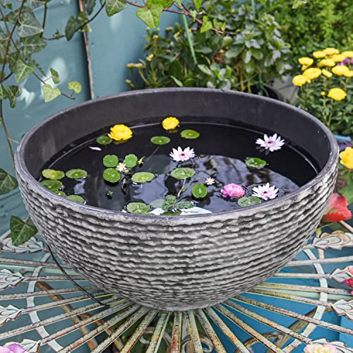 Sungmor Ash Black Resin Outdoor Low Bowl Planter Bird Bath 156 Inch Water Lily Succulent Pots Small Fountain Base