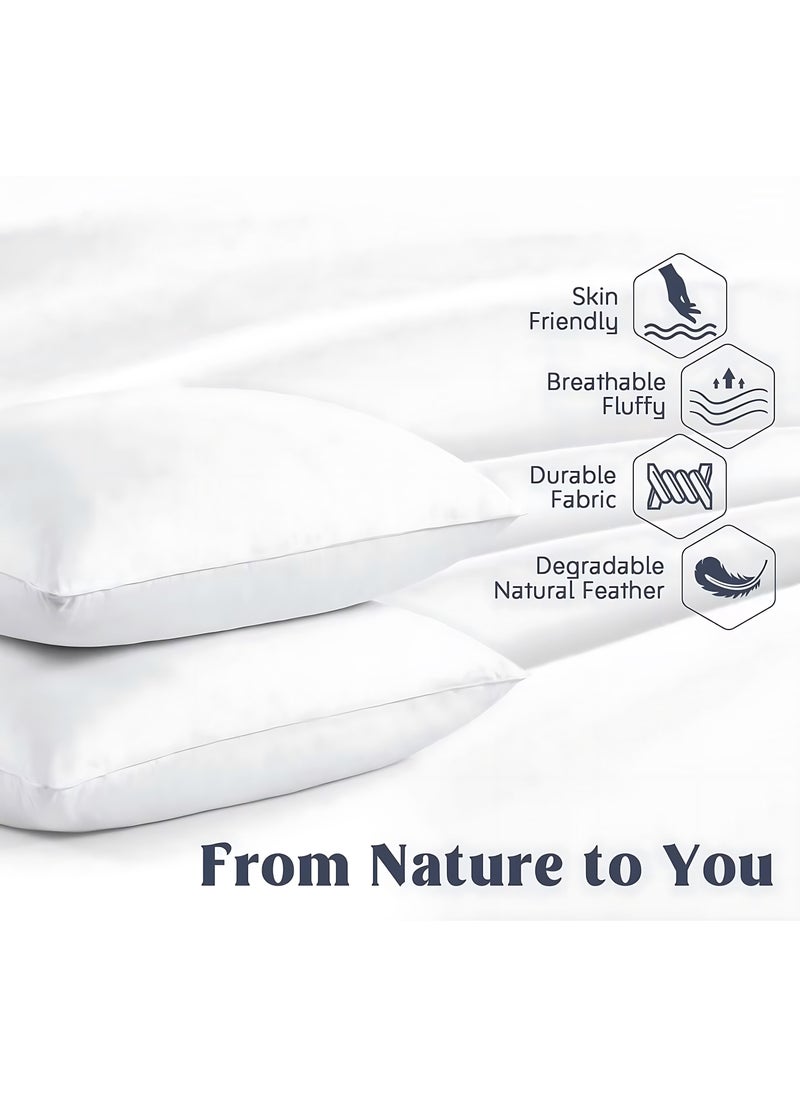 MAXQON 1-Piece Feather Bed Pillow Luxurious Comfort with Goose Feather and 100% Cotton Fabric, (White, Size 50x70 CM)  - Image 3