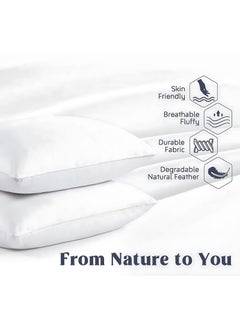 MAXQON 1-Piece Feather Bed Pillow Luxurious Comfort with Goose Feather and 100% Cotton Fabric, (White, Size 50x70 CM)  - Image 3