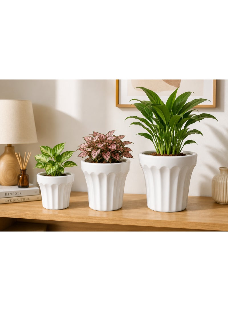 Emarald 3-Piece Ceramic Plant Pot Set for Indoor & Outdoor Plants – Decorative Flower Planters with Modern Textured Design, Small, Medium & Large Sizes for Succulents, Herbs, Flowers & Home Dccor White - Image 5