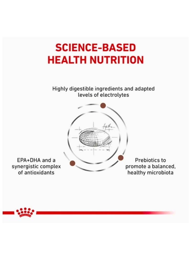 ROYAL CANIN Veterinary Diet Gastrointestinal Dry Dog Food – Digestive Care Formula for Dogs with Sensitive Stomach, 2 kg - Image 3
