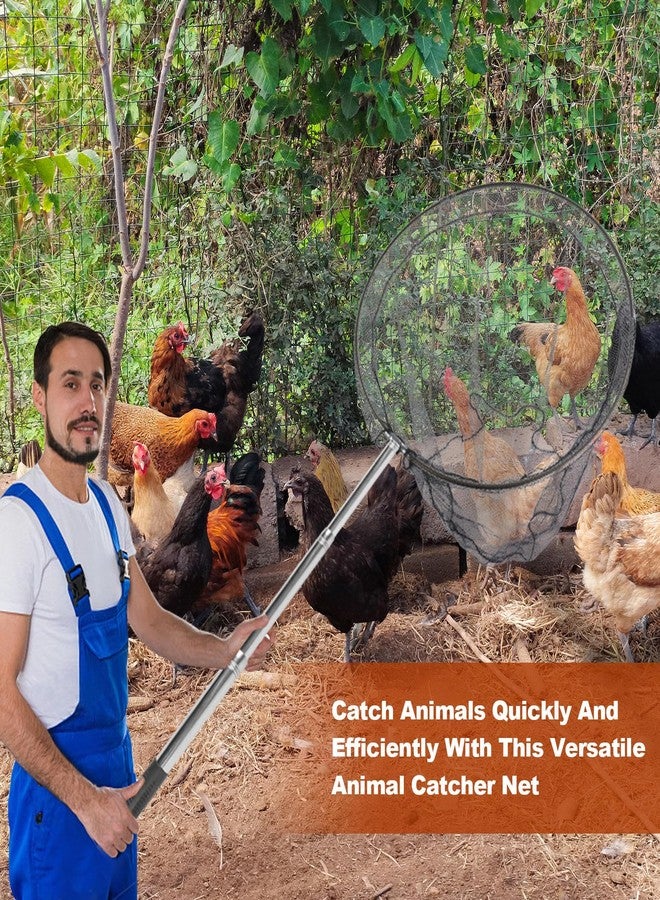 Smarkey Animal Catcher Net, Chicken Catching Net for Poultry Supplies, Extendable 72" Made of Stainless Steel Fishing net Catcher for Catching Small Duck, Geese, Bird, Bat, Chickens, cat, Poultry - Image 4