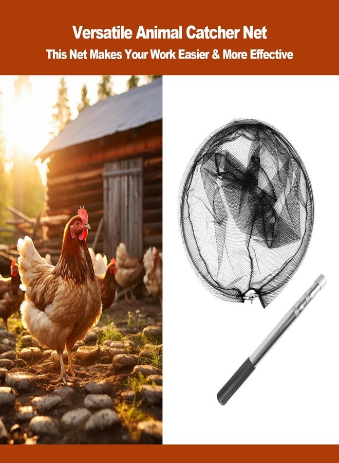 Smarkey Animal Catcher Net, Chicken Catching Net for Poultry Supplies, Extendable 72" Made of Stainless Steel Fishing net Catcher for Catching Small Duck, Geese, Bird, Bat, Chickens, cat, Poultry - Image 3