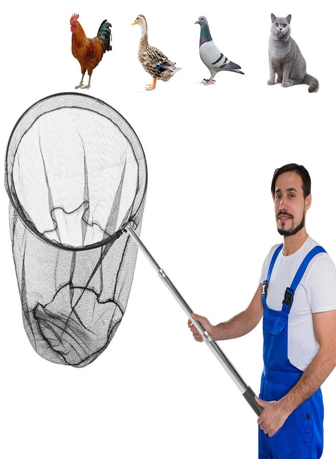 Smarkey Animal Catcher Net, Chicken Catching Net for Poultry Supplies, Extendable 72" Made of Stainless Steel Fishing net Catcher for Catching Small Duck, Geese, Bird, Bat, Chickens, cat, Poultry - Image 1