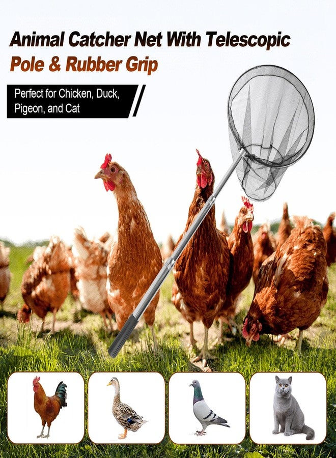 Smarkey Animal Catcher Net, Chicken Catching Net for Poultry Supplies, Extendable 72" Made of Stainless Steel Fishing net Catcher for Catching Small Duck, Geese, Bird, Bat, Chickens, cat, Poultry - Image 2