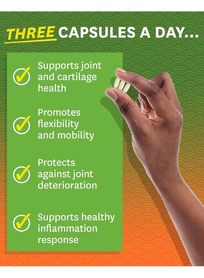 Zenwise Health - Joint Support Pro-Mobility Formula 180 Tablets - Image 3