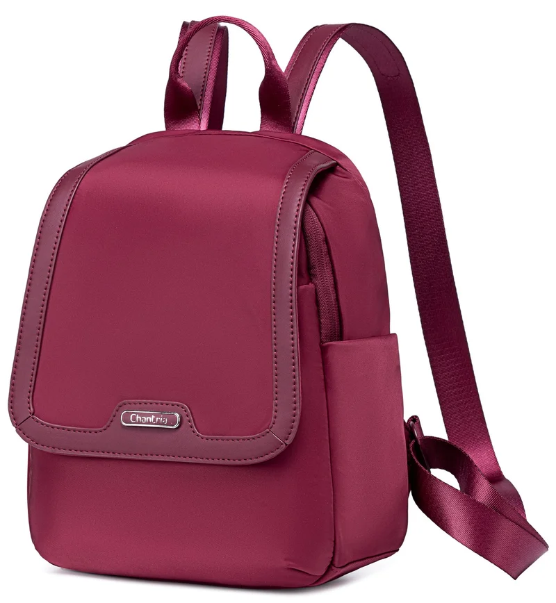 Chantria Premium Casual Backpack Water Resistant Multifunctional Anti-Theft Women Daypack with independent Laptop Compartment, CB00621, Burgundy