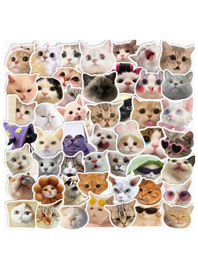 virenia 50-Piece Self-Adhesive Vinyl Sticker Set – Cute Graffiti Cat Decals – For Laptop, Water Bottle, Hard Hat & Skateboard – Great for Adults, Kids, Teens, Girls & Boys - Image 1