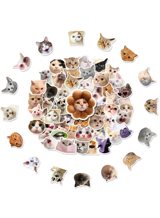 virenia 50-Piece Self-Adhesive Vinyl Sticker Set – Cute Graffiti Cat Decals – For Laptop, Water Bottle, Hard Hat & Skateboard – Great for Adults, Kids, Teens, Girls & Boys - Image 5