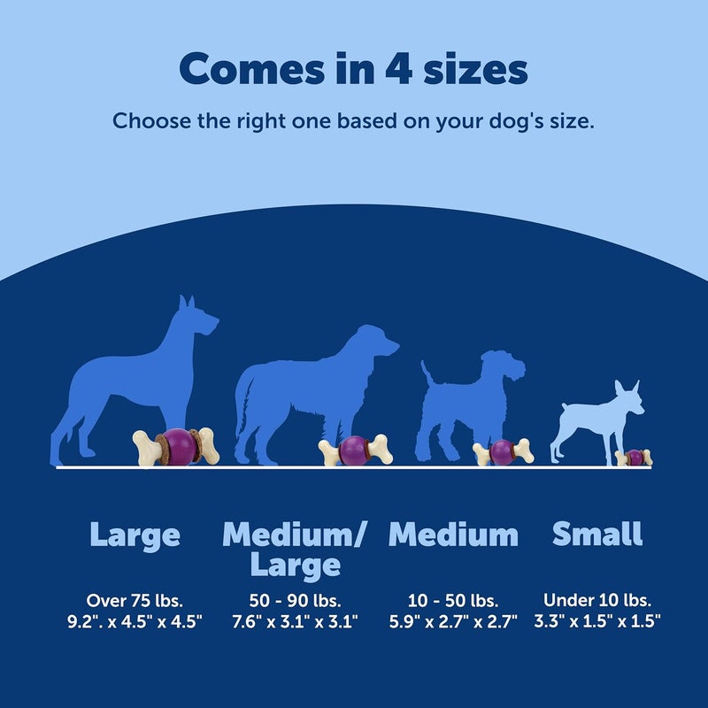 PetSafe Busy Buddy Bouncy Bone Dog Chew Toy for Small Breeds - Image 5