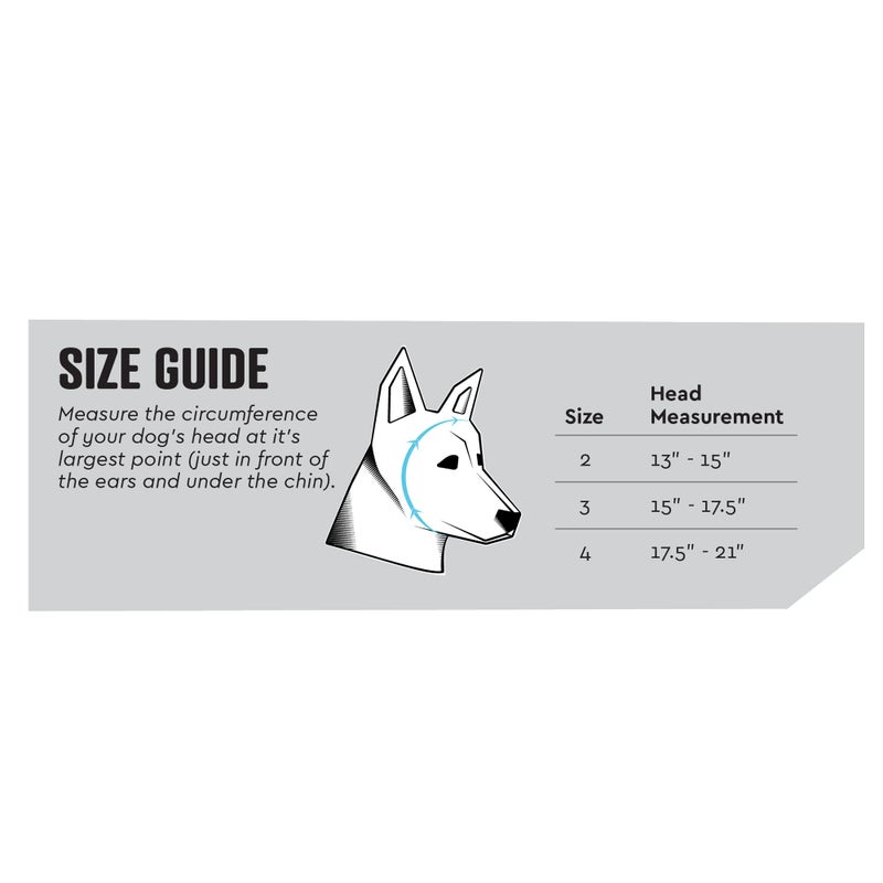 Rex Specs Ear Pro | Noise Cancelling Ear Wraps for Dogs | Dog Ear Muffs Noise Protection (02, Black) - Image 2