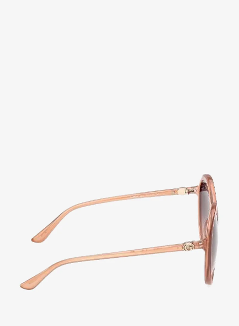 Guess  wayfarers Sunglasses for Women | Best Price UAE