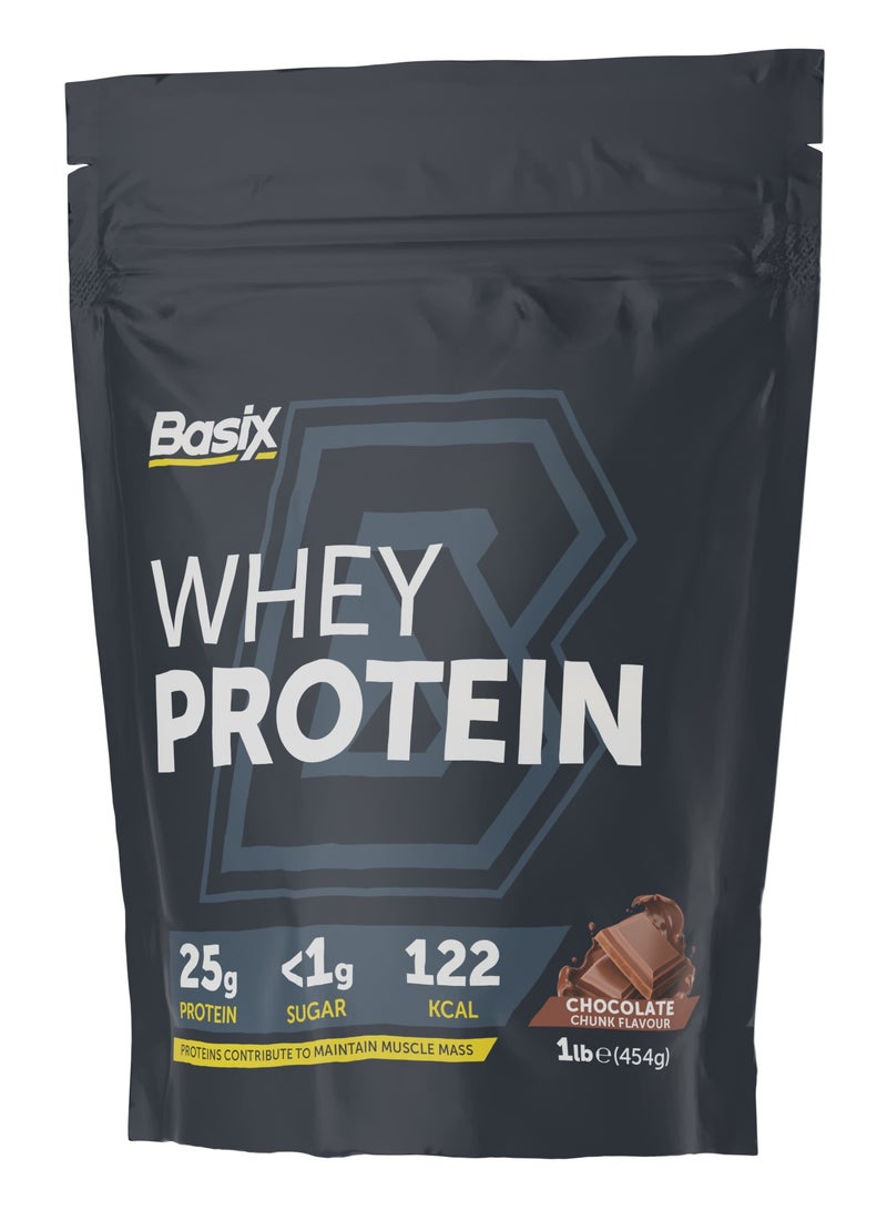 Basix Whey Protein 1Lbs Chocolate Chunk Flavor - Image 1