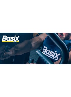 Basix Basix Whey Protein 1Lbs Chocolate Chunk Flavor  - Image 2