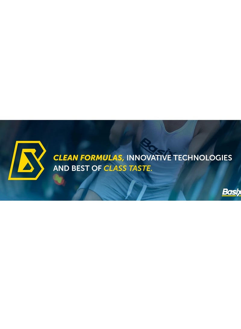 Basix Whey Protein 1Lbs Chocolate Chunk Flavor - Image 3