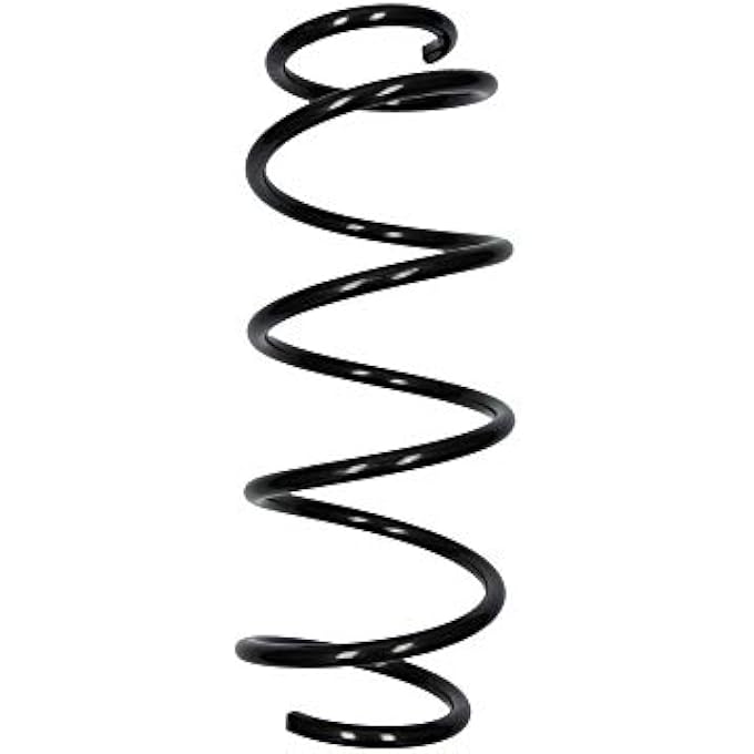 314 033 0003 Coil Spring