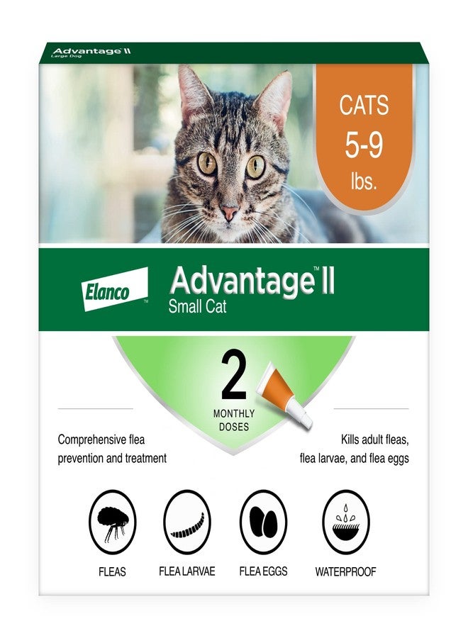 Advantage II Small Cat Vet-Recommended Flea Treatment & Prevention | Cats 5-9 lbs. | 2-Month Supply - Image 1