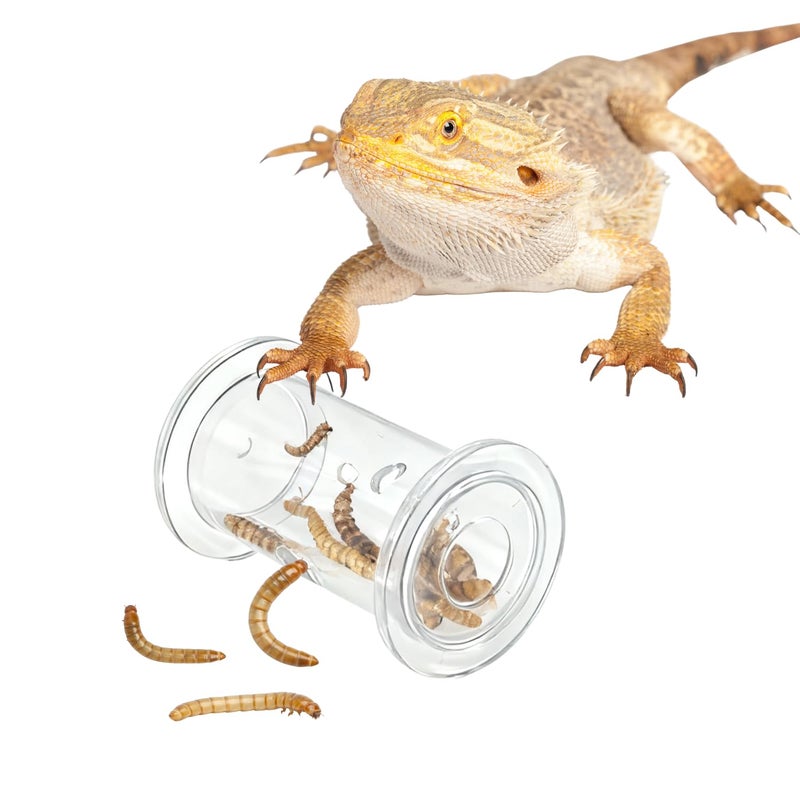 SEZDEKI Bearded Dragon Feeder Toy - Lizard Enrichment Interactive Toy Reptile Terrarium Tank Decor Foraging Accessories for Gecko, Lizard, Bearded Dragon,Chameleon Small Animals - Image 1
